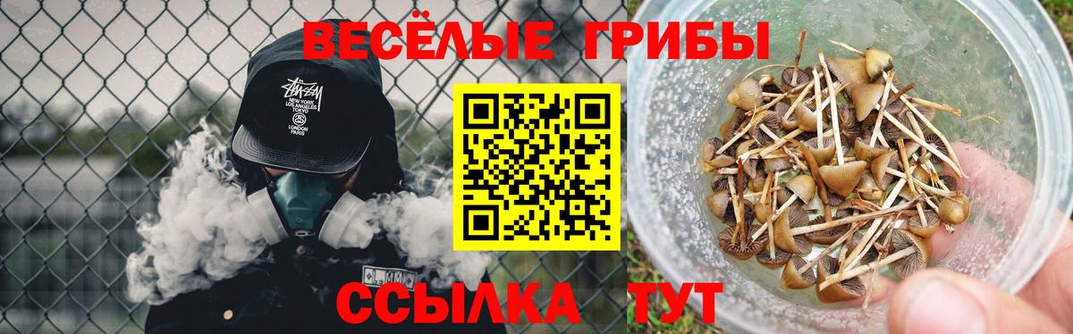 где найти наркотики  Вход с VPN  Ковров  Псилоцибиновые грибы мицелий 